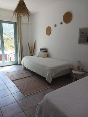 Andros summer house